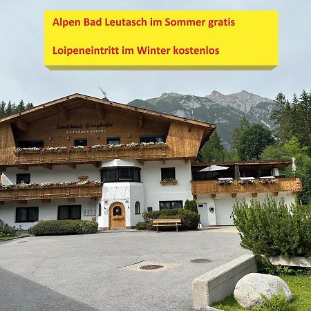 W6 Haus Ganghofer Daire Leutasch Dış mekan fotoğraf