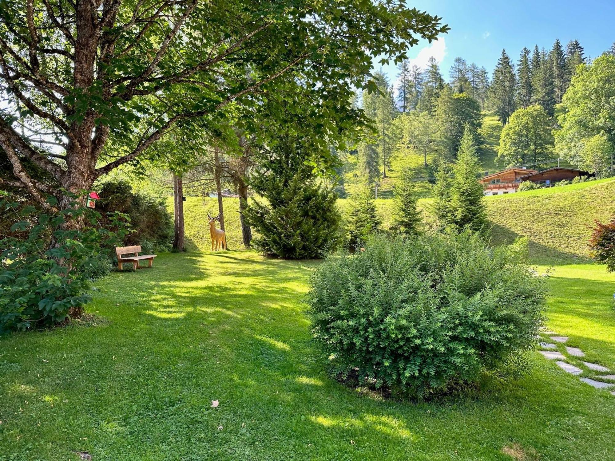 W6 Haus Ganghofer Daire Leutasch Dış mekan fotoğraf