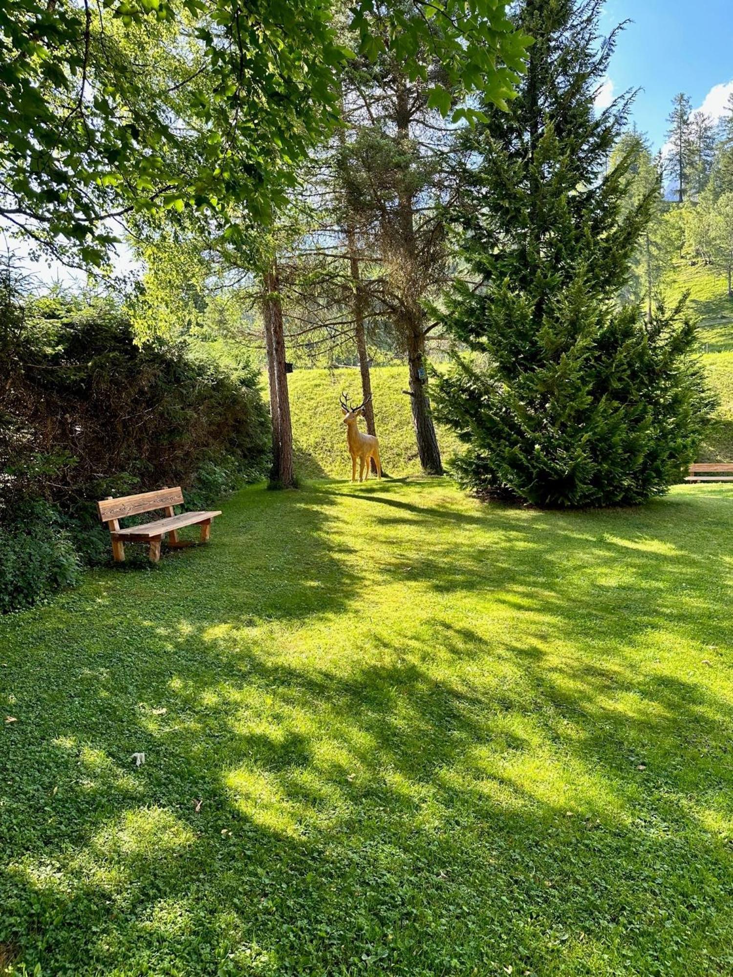 W6 Haus Ganghofer Daire Leutasch Dış mekan fotoğraf